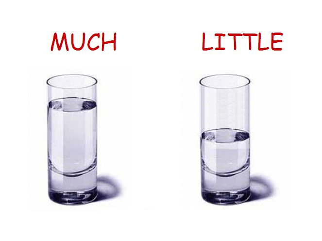 Much definition and meaning with pictures Picture Dictionary Books